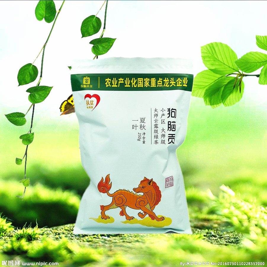 湖南郴州特产狗脑贡绿茶袋装茶叶2022新茶资兴狗脑贡茶夏秋一叶级