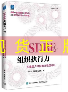 现货正版 SDBE组织执行力：构建客户导向的流程型组织 胡荣丰 电子工业出版社 9787121495007