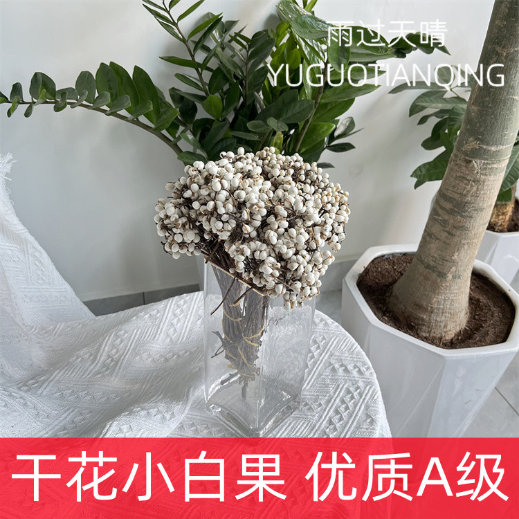 雨过天晴干花小白果家居软装