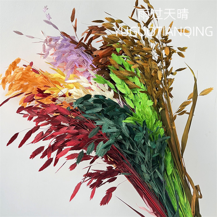 小盼草永生小盼草灵动永生花干花花束家居装饰北欧风摆件风动草,鲜花速递/花卉仿真/绿植园艺,永生花,淘宝优惠券,粉丝福利购,淘宝优惠卷