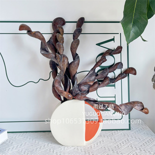 大耳朵豆复古森系花材装饰豆荚扁豆干花花束天然风干真花干枝弯豆