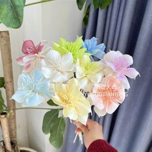 铁线莲通草永生花家居软装 饰摆件 插花香薰花材办公室前台插花装