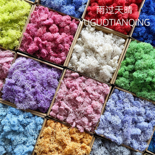 雨过天晴苔藓天然造景