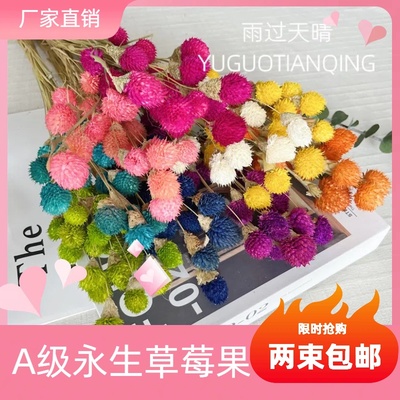 雨过天晴草莓果花束千日红干花