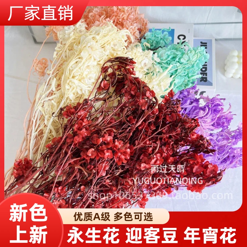 雨过天晴永生花迎客豆年宵花