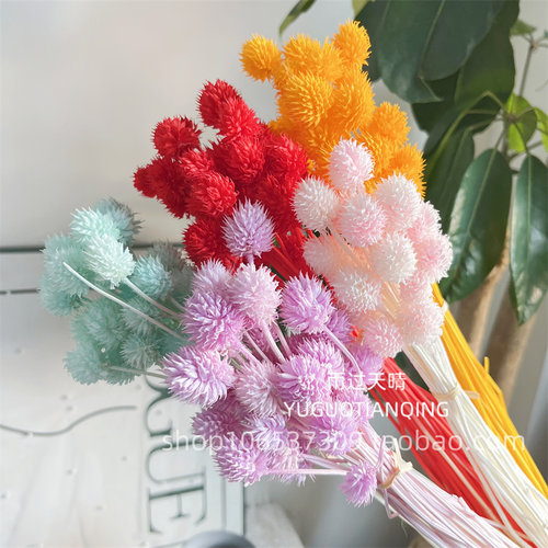 永生花原杆草莓果家居软装插花