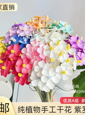 云南天然干花白色永生紫罗兰永生花蝴蝶兰家居软装花瓶插花五瓣花