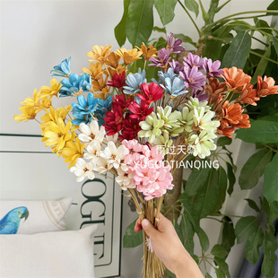 小瓜子花永生花优质A级干花瓜子花小瓜子花家居软装瓶插花DIY手工