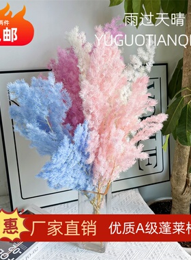 永生花蓬莱松干花北欧风花束高级轻奢家居摆设插花树枝白日焰火