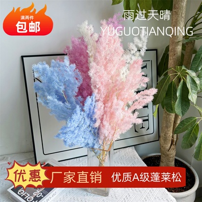 永生花蓬莱松干花北欧风花束高级轻奢家居摆设插花树枝白日焰火