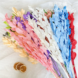 永生花桔子叶百合竹梦幻婚礼花材天然干花家装饰DIY花艺客厅装饰