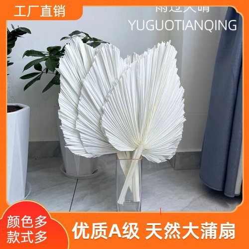 雨过天晴干花蒲扇家居软装