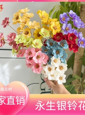 永生花银铃花干花铃铛花天然干花家居软装插花小众轻奢花材银莲花