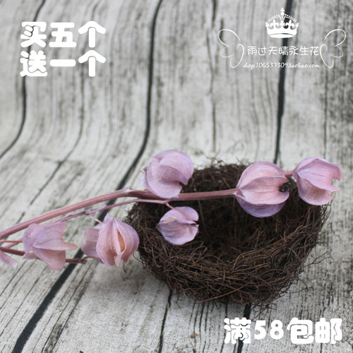 风铃花永生花花盒制作diy材料包