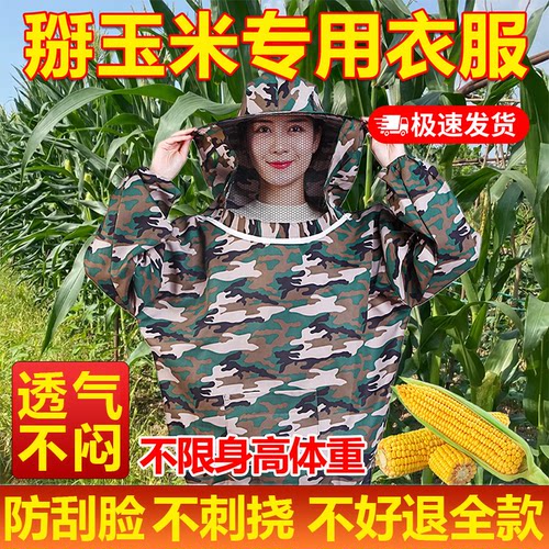 掰玉米专用衣服透气防护服