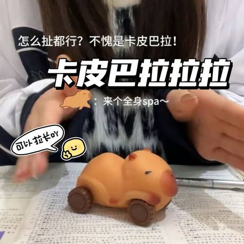 卡皮巴拉小车男宝车玩具车可拉长解压带轮儿童捏捏乐慢回弹可变形