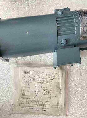 BR 60M3017 inagnetic伺服电机议价