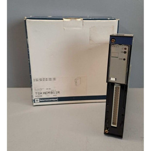TSXAEM811R - Telemecanique- TSXAEM811/Modulo 8 Ingressi Seri