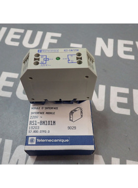 RS1BN101M - Telemecanique - RS1-BN101M/19203 Module Interfac