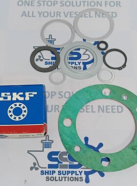 IMO 185736 联合套件/维修套件包括滚珠轴承适用于 LO 转移泵