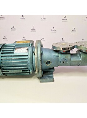 Bomba De Tornillo Triple Kral NFUG 10 Con Motor Eléctrico D