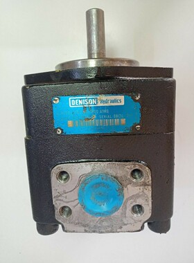 Denison Hydraulics T7BS B14 1R00 A1M0 Hydraulic vane pump