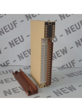 C1005211 - ALSPA - C100-5211 / Modulo 16 Ingressi Nuovo