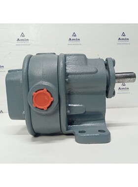 Bsm- Brown & Sharpe Pompa Rotativa A Ingranaggi Montata A Te
