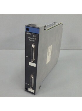 TSXAEM1613 - Telemecanique - TSXAEM1613/Module Input Analogu