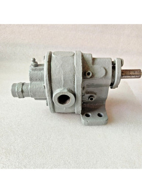 Bsm-Brown & Sharpe Pompa NO.0.6m Montaggio Rotante Ingranagg