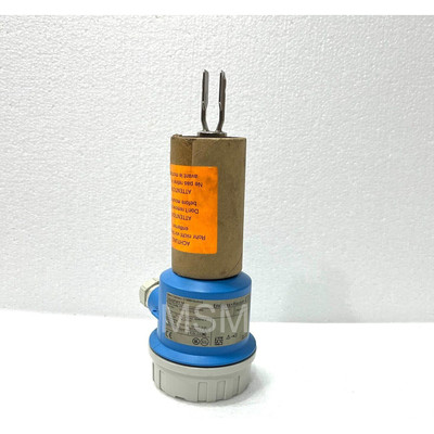 ENDRESS & HAUSER FTL51-AGW2DB4G4S Liquiphant M 级别开关
