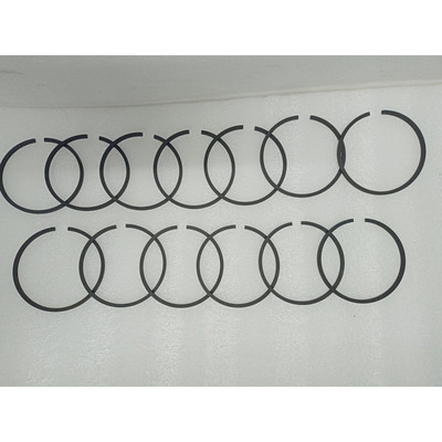 Nuevo Recambio Pistón Anillo para Portador 5h40,5h60,5h80,5