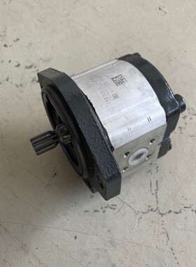 1x Bosch Rexroth AZPF-11-008RRR20KB-S002 0510425041 8ccm RE