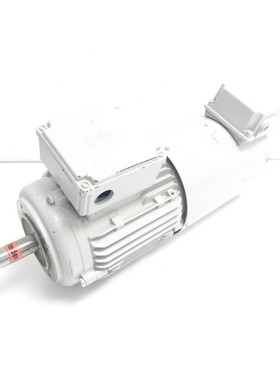 Dietz FDR 90LB/ 4 P B32 Getriebemotor mit Wistro FLAI Bg90 B