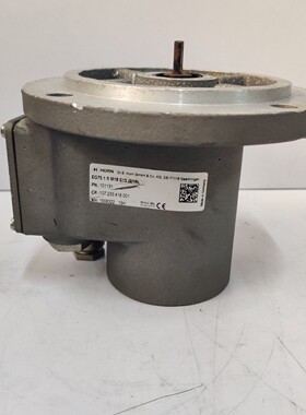 Dr E Hornel EG75.1 fl M18 S15