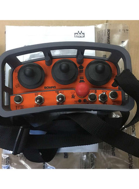 NEU Joystick Fernsteuerung NBB NANO-L RECEIVER Kran Grabenwa