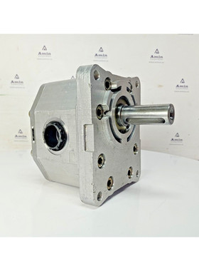 Hydraulische Zahnradpumpe Wytwornia Pomp Hydrauliczynch PZ2-