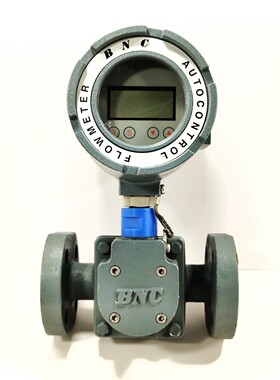 BNC AUTOCONTROL BH20 流量计 BH20-0F1-J10