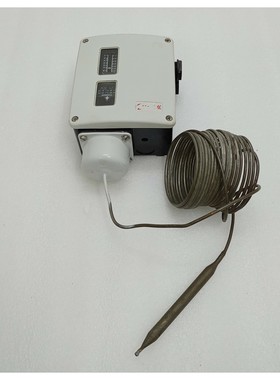 Danfoss RT101 Température Thermostat