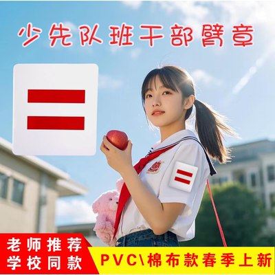 少先队干部小队长标志一道杠