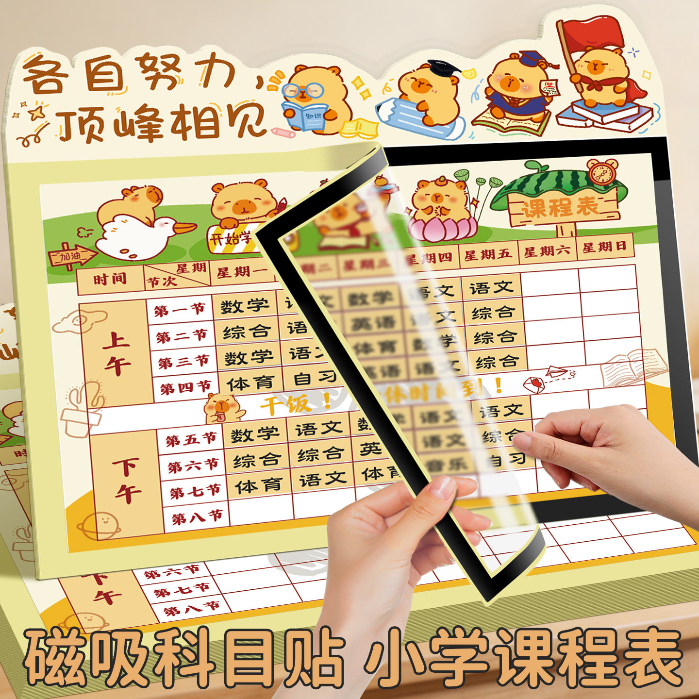 免写！科目贴磁性款可反复擦写图片