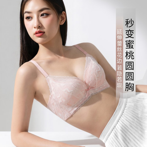 蕾丝无钢圈小胸聚拢文胸