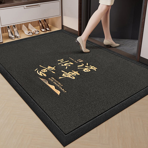 进门地垫入户门垫2024新款免洗可擦乔迁脚垫出入平安蹭土门口地毯