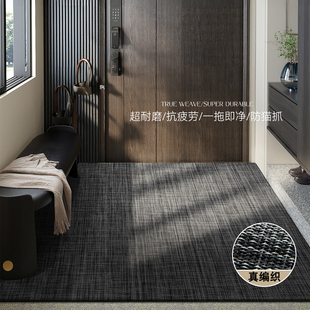 入户门地垫新款高级玄关耐脏免洗pvc客厅门垫门口家用可裁剪地毯