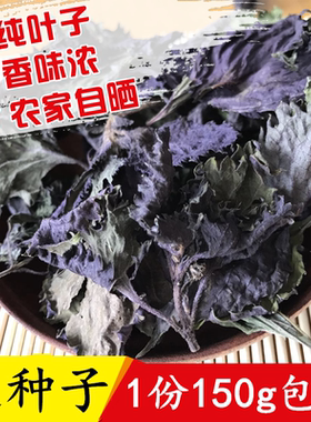 新鲜野生紫苏叶干农家苏叶泡茶泡澡去腥提鲜食用香料无粗梗送种子