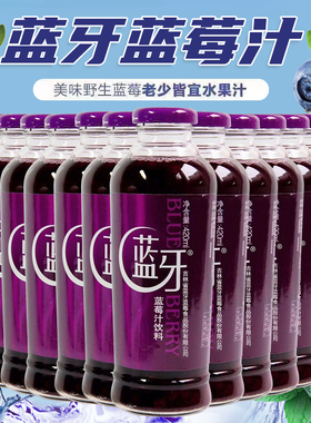 蓝牙大紫蓝莓汁包邮果料饮料 420ml*12瓶  年货