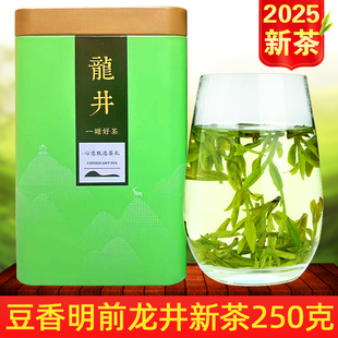 2025年新茶 杭州明前龙井茶绿茶春茶正宗豆香龙井250g 茶叶罐装