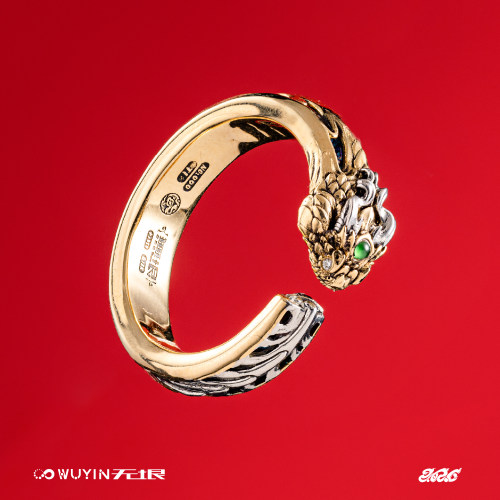 无垠藤蛇衔尾925银18K金戒指