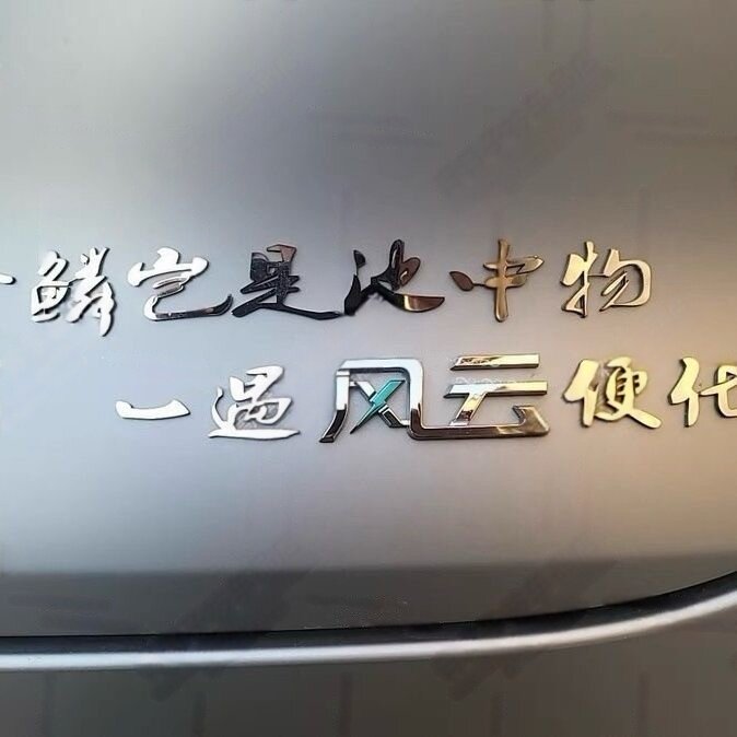 个性创意金lin岂是池中物一遇风云便化龙不锈钢材质定制车尾标贴