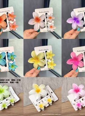 Hair Flower Clip Clips Hawaiian Plumeria Beach Flowers Claw